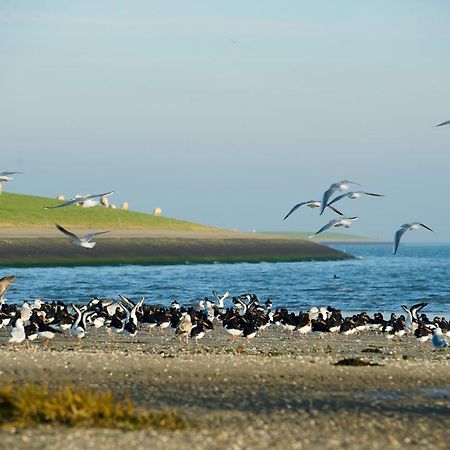 Breeze Ameland Ξενοδοχείο Hollum  Εξωτερικό φωτογραφία