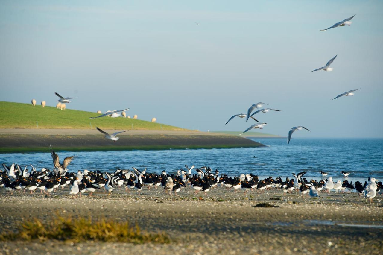 Breeze Ameland Ξενοδοχείο Hollum  Εξωτερικό φωτογραφία